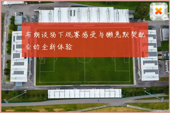 布朗谈场下观赛感受与獭兔默契配合的全新体验
